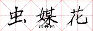 袁強蟲媒花楷書怎么寫