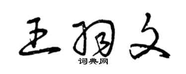 曾慶福王羽文草書個性簽名怎么寫