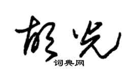 朱錫榮胡光草書個性簽名怎么寫