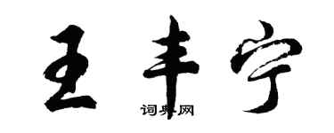 胡問遂王豐寧行書個性簽名怎么寫