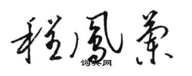 駱恆光程鳳蘭草書個性簽名怎么寫