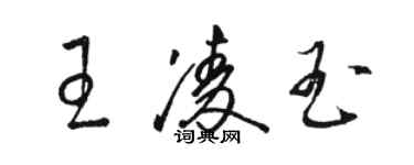 駱恆光王凌玉草書個性簽名怎么寫