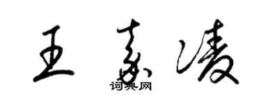 梁錦英王嘉凌草書個性簽名怎么寫