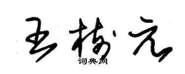 朱錫榮王樹元草書個性簽名怎么寫