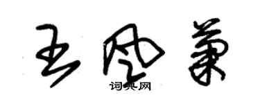 朱錫榮王風菊草書個性簽名怎么寫