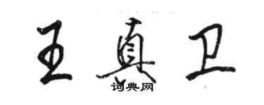 駱恆光王真衛行書個性簽名怎么寫