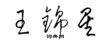 駱恆光王錦星草書個性簽名怎么寫