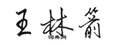 駱恆光王林箭行書個性簽名怎么寫