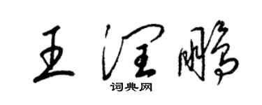 梁錦英王潤鵬草書個性簽名怎么寫