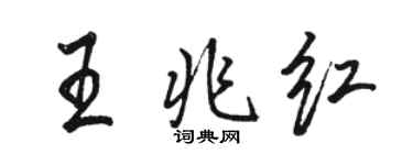 駱恆光王兆紅行書個性簽名怎么寫