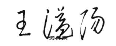 駱恆光王溢陽草書個性簽名怎么寫