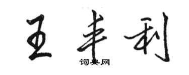 駱恆光王豐利行書個性簽名怎么寫