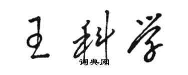 駱恆光王科學草書個性簽名怎么寫