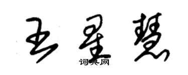 朱錫榮王星慧草書個性簽名怎么寫