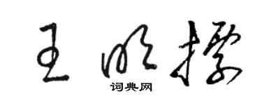 駱恆光王明標草書個性簽名怎么寫