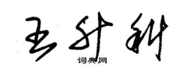 朱錫榮王升科草書個性簽名怎么寫
