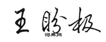 駱恆光王盼極行書個性簽名怎么寫