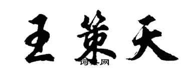 胡問遂王策天行書個性簽名怎么寫