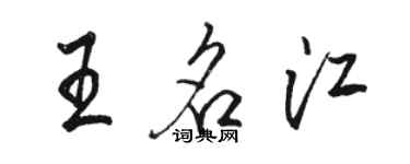 駱恆光王名江行書個性簽名怎么寫