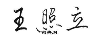 駱恆光王照立行書個性簽名怎么寫