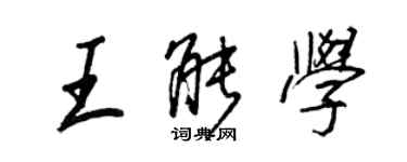 王正良王能學行書個性簽名怎么寫