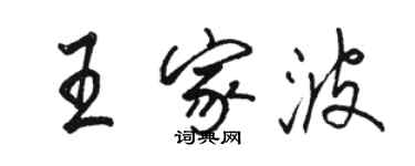 駱恆光王家波行書個性簽名怎么寫