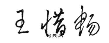 駱恆光王惜暢草書個性簽名怎么寫