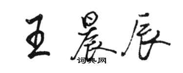 駱恆光王晨辰行書個性簽名怎么寫