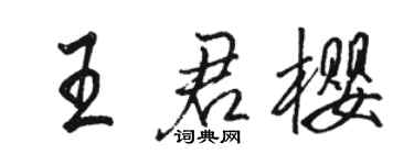 駱恆光王君櫻行書個性簽名怎么寫