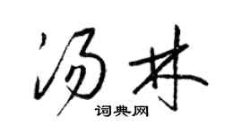 梁錦英湯林草書個性簽名怎么寫