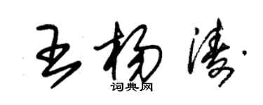 朱錫榮王楊濤草書個性簽名怎么寫