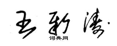 朱錫榮王新濤草書個性簽名怎么寫