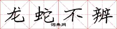 袁強龍蛇不辨楷書怎么寫