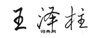 駱恆光王澤柱行書個性簽名怎么寫