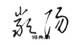 駱恆光嚴陽草書個性簽名怎么寫