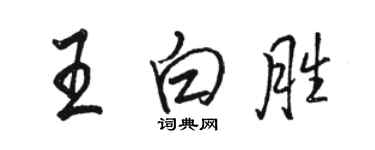 駱恆光王白勝行書個性簽名怎么寫