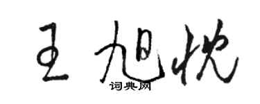 駱恆光王旭忱草書個性簽名怎么寫