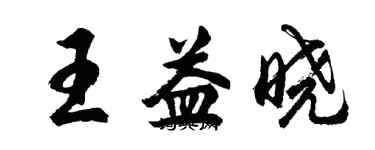 胡問遂王益曉行書個性簽名怎么寫