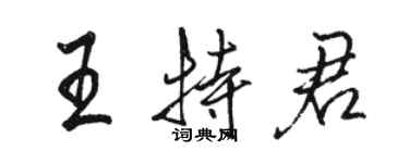 駱恆光王特君行書個性簽名怎么寫