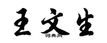 胡問遂王文生行書個性簽名怎么寫