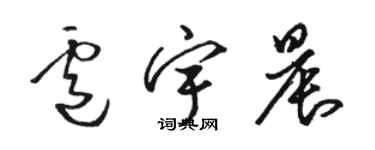 駱恆光盧宇晨草書個性簽名怎么寫