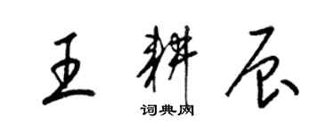 梁錦英王耕辰草書個性簽名怎么寫