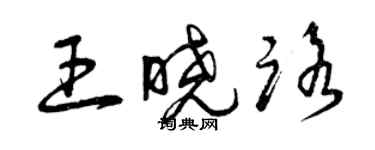 曾慶福王曉路草書個性簽名怎么寫