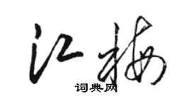 駱恆光江梅草書個性簽名怎么寫