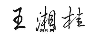駱恆光王湘桂行書個性簽名怎么寫