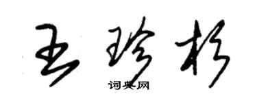 朱錫榮王珍杉草書個性簽名怎么寫