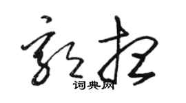 駱恆光郭想草書個性簽名怎么寫