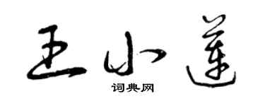 曾慶福王小蓮草書個性簽名怎么寫