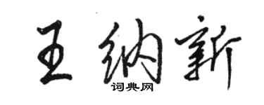 駱恆光王納新行書個性簽名怎么寫