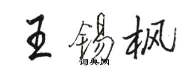 駱恆光王錫楓行書個性簽名怎么寫